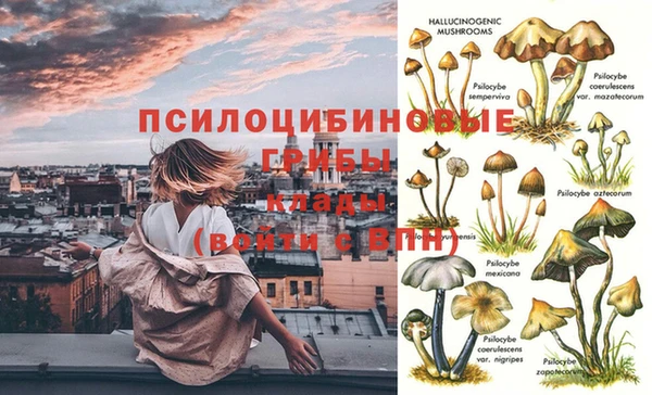 МДПВ Алексин